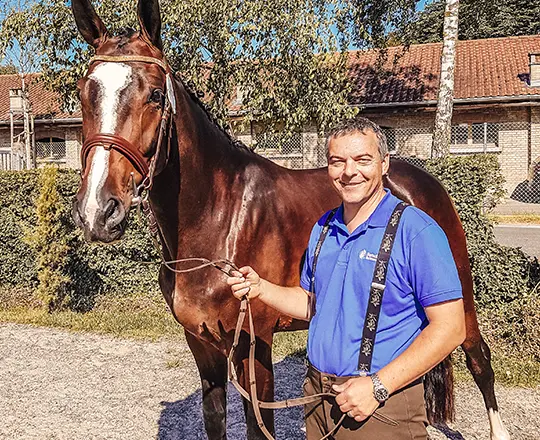 Man steht neben Pferd und hält die Zügel