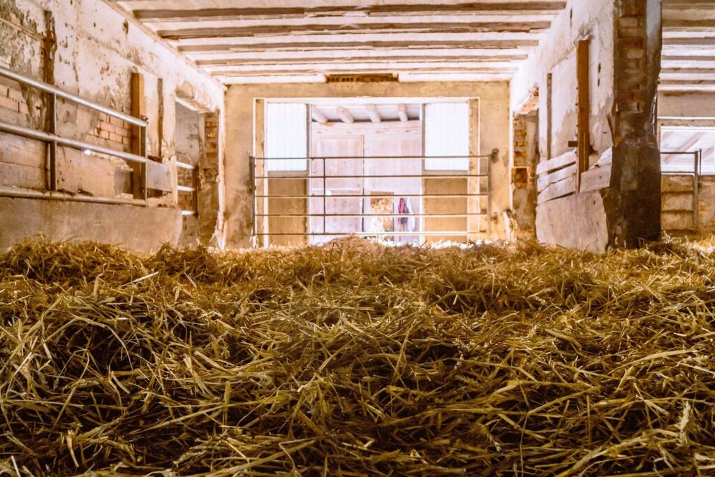 Stall ausgestreut mit frischem Stroh