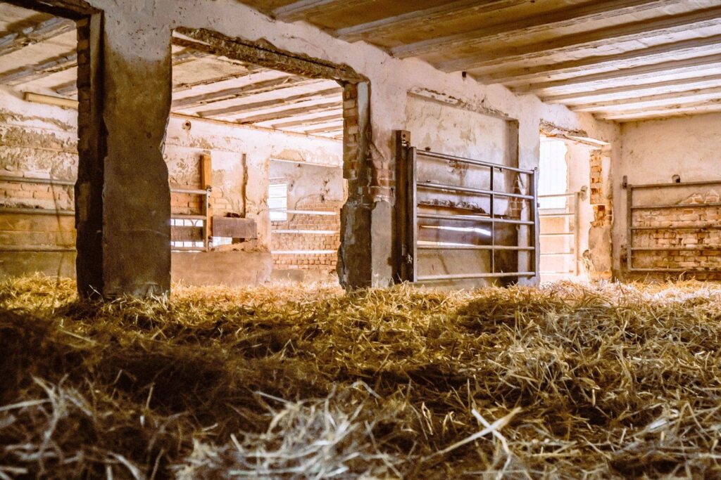 Stall ausgestreut mit frischem Stroh